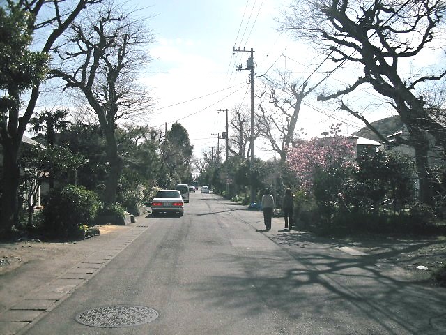 大磯の風景写真・大磯駅前不動産