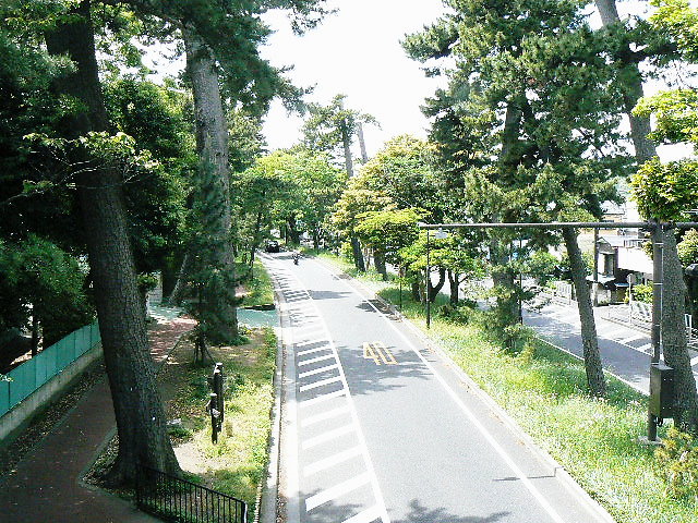 大磯の風景写真・大磯駅前不動産