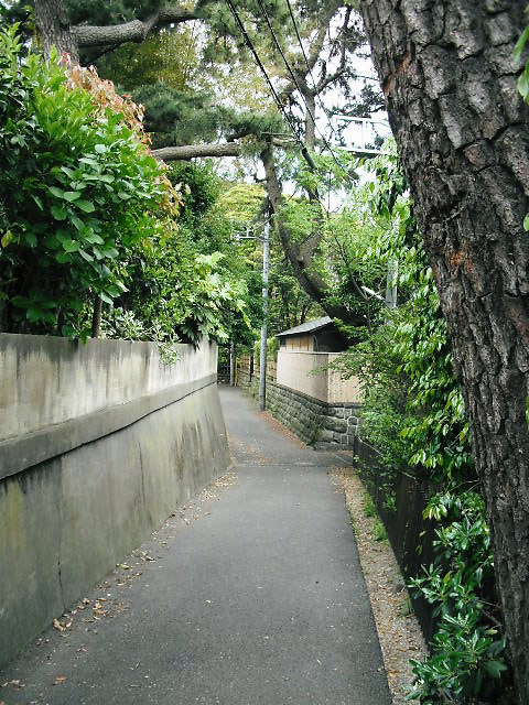 大磯の風景写真・大磯駅前不動産