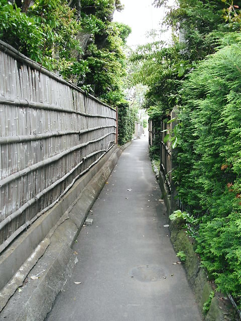 大磯の風景写真・大磯駅前不動産