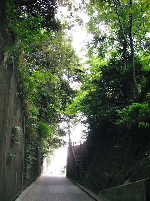 大磯の風景写真・大磯駅前不動産