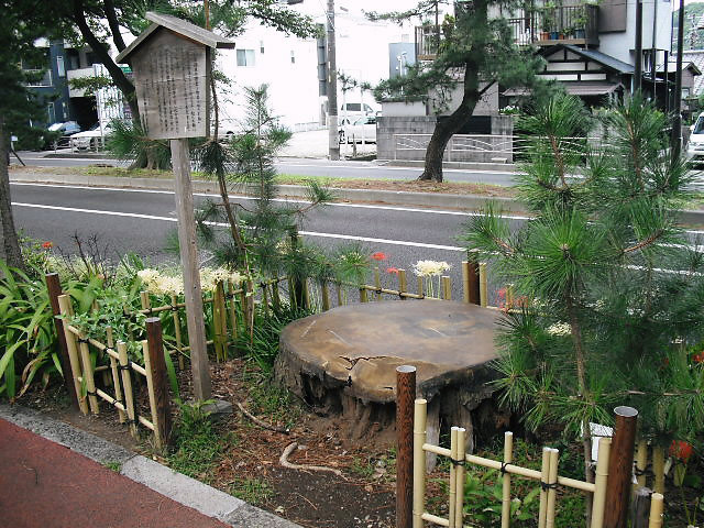 大磯の風景写真・大磯駅前不動産