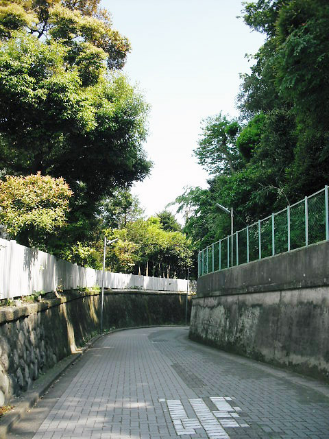 大磯の風景写真・大磯駅前不動産