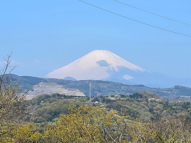 大磯町虫窪の土地(売地)