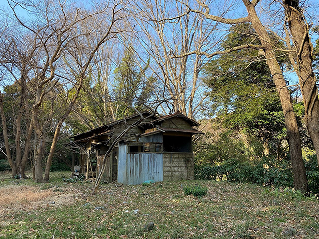 大磯町西小磯の土地（売地）