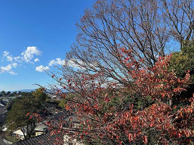 大磯駅に近い中古住宅