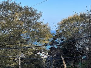 大磯の賃貸/大磯町大磯の貸戸建住宅