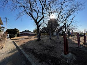 大磯町国府本郷の土地（売地）