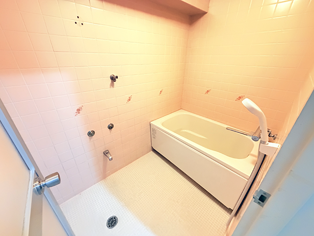 大磯の賃貸／ライオンズマンション206号室