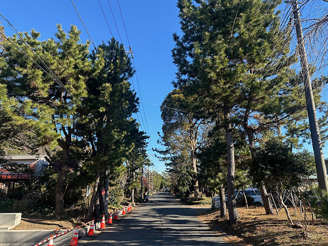 大磯町大磯の土地(売地)